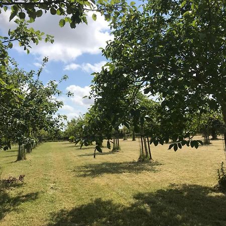 Vakantiehuizen 'T Centrum オーストカペッレ エクステリア 写真